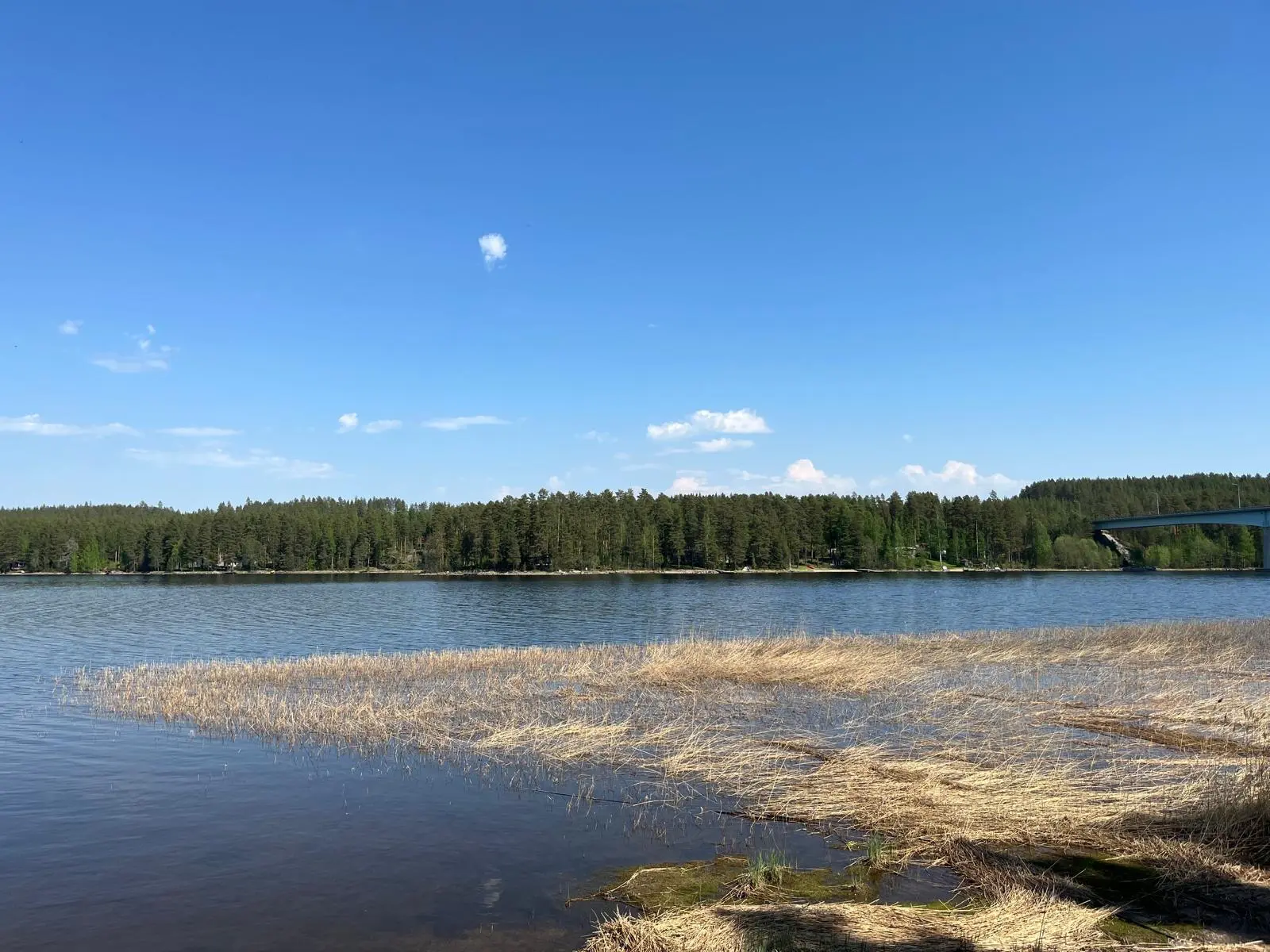 Kallavesi ja Vehmersalmen silta