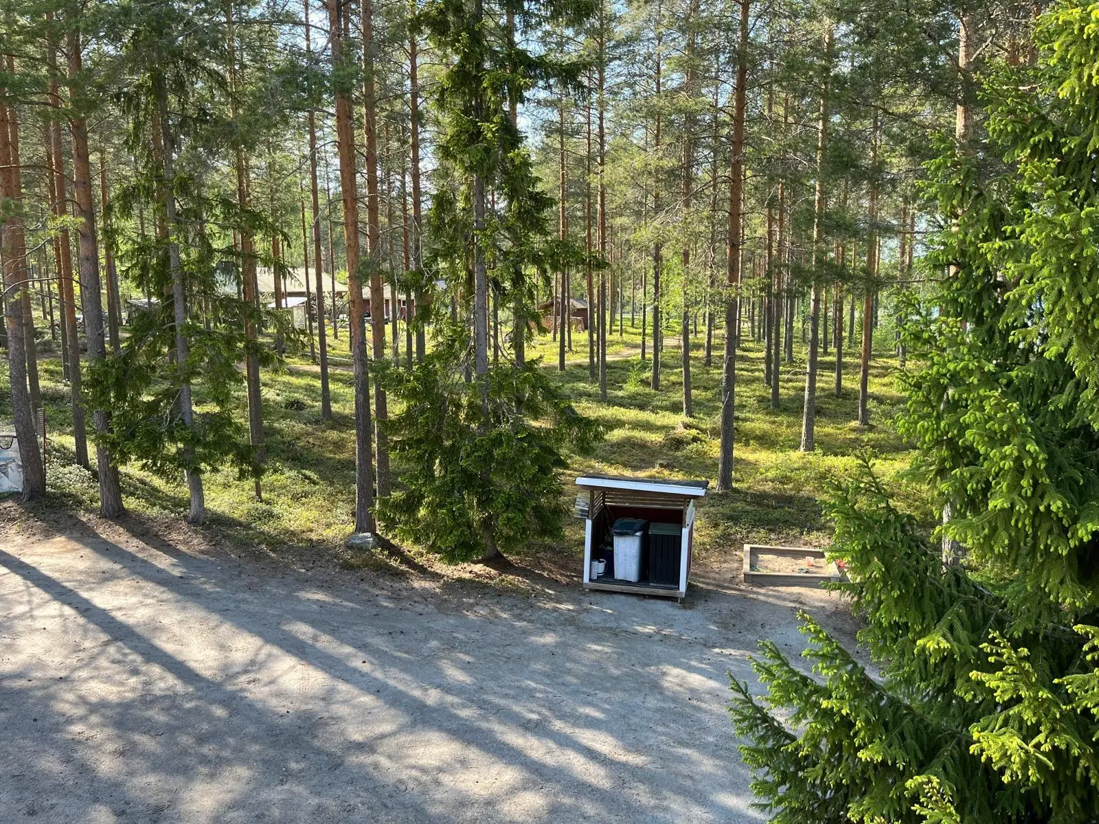 Parkkipaikka, piha ja metsä
