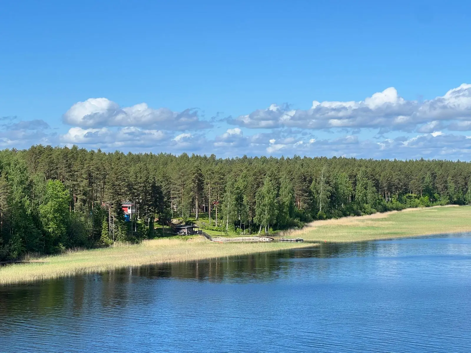 Villa Purnukan ranta ja ruovikko järveltä kuvattuna kesäpäivänä