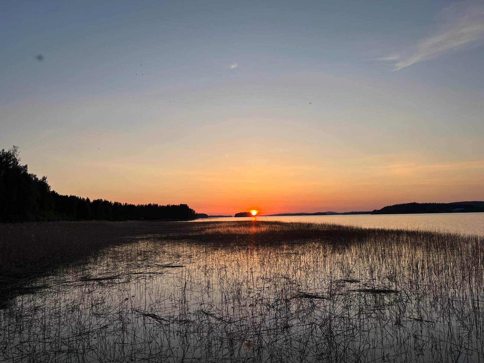 Auringonlasku ruovikon yli Kallavedellä